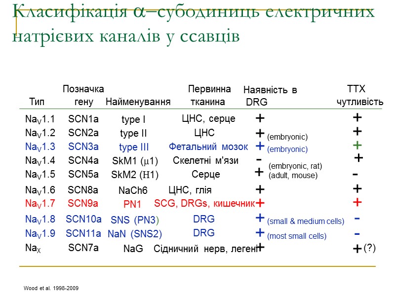Класифікація субодиниць електричних натрієвих каналів у ссавців + + (embryonic) - + + +